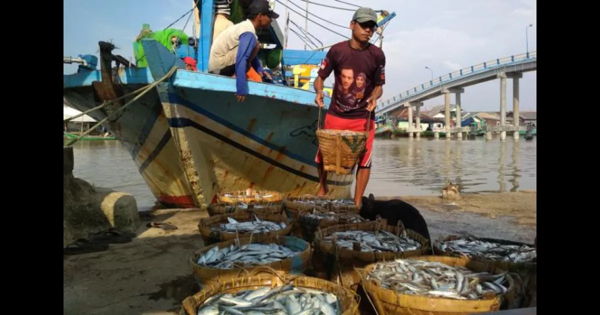 Pendangkalan Muara dan Banyak Nelayan Terjerat Utang, 5 TPI di Karawang Tak Lagi Aktif